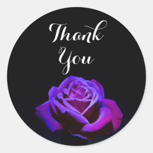 Sticker Rond Rose pourpre avec gouttelettes d'eau Merci