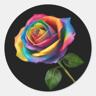 Sticker Rond Rose Rainbow Long Stem