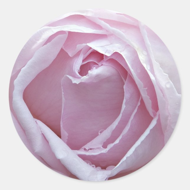 Sticker Rond Rose rose (Devant)
