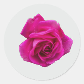 Sticker Rond Rose Rose #5