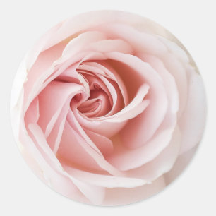 Sticker Rond Rose rose et bois blanc Chic Fête des mariées