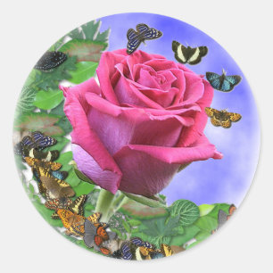 Sticker Rond Rose rose et papillons