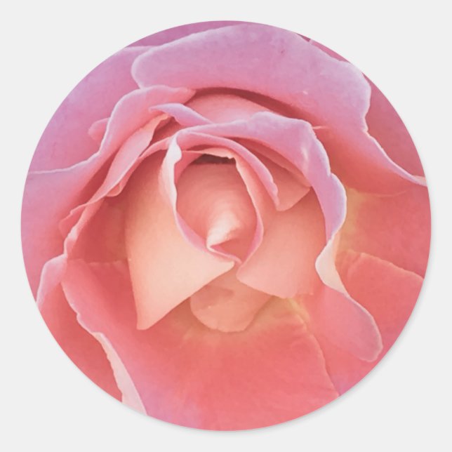 Sticker Rond Rose rose lustre (Devant)