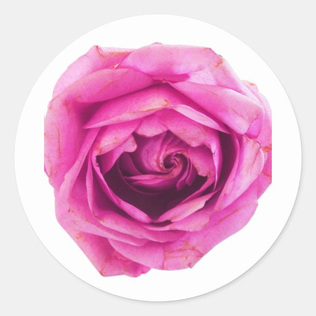 Sticker Rond Rose rose rose (Devant)