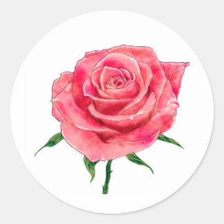 Sticker Rond Rose rose rose