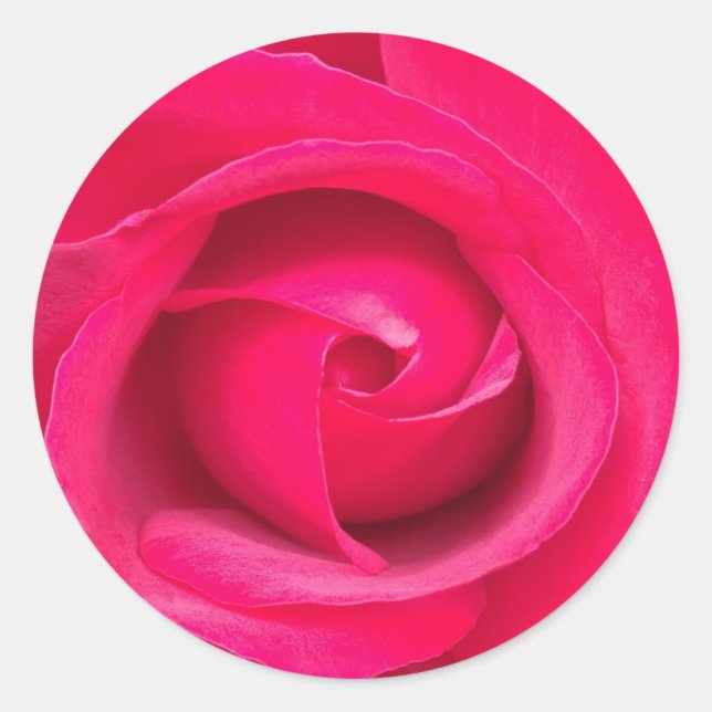 Sticker Rond Rose rose rouge romantique (Devant)