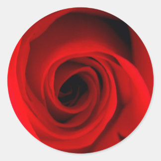 Sticker Rond Rose rouge