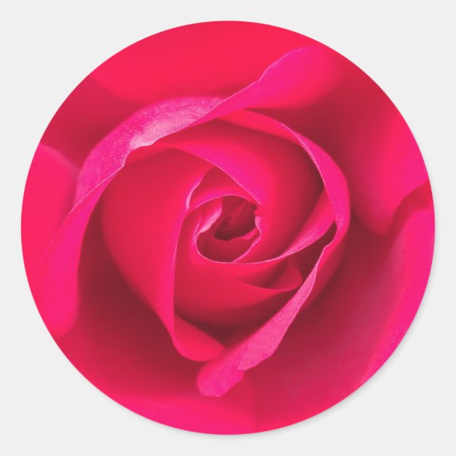 Sticker Rond Rose rouge romantique v2 (Devant)