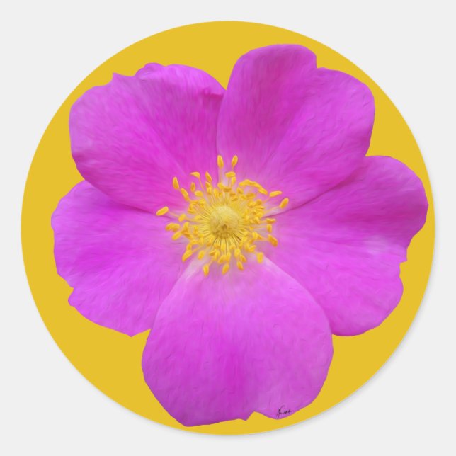 Sticker Rond Rose sauvage 2 (Devant)