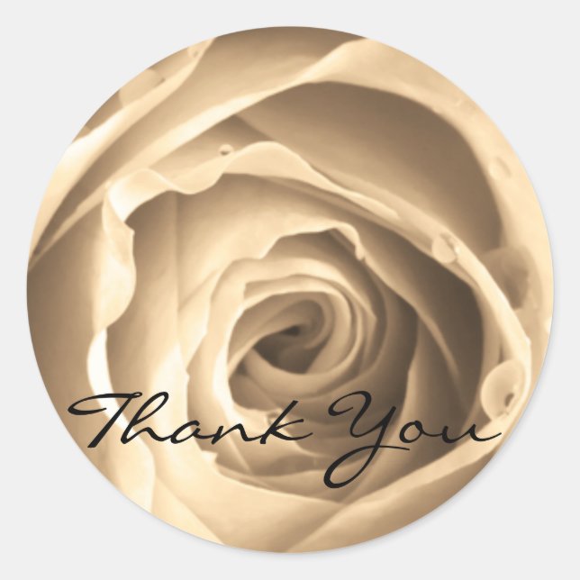 Sticker Rond Rose Sepia, Merci (Devant)