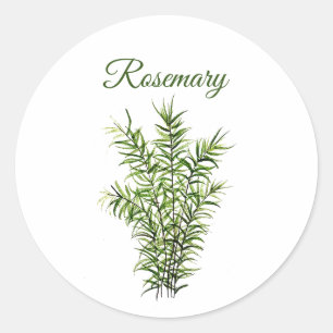 Sticker Rond Rosemary Herb Greenery Cuisine culinaire Vert chic