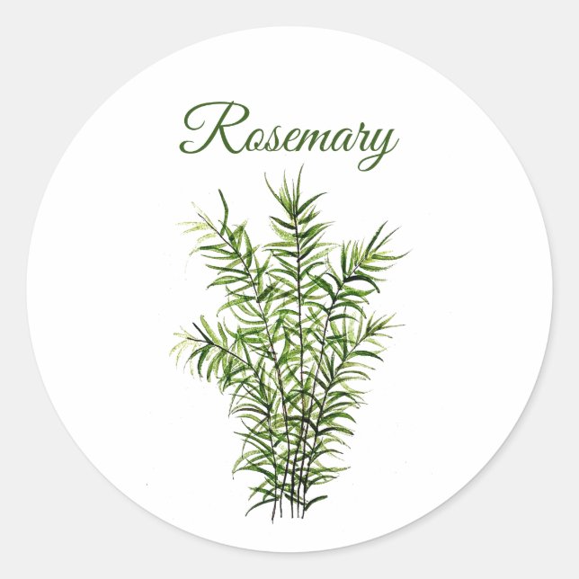 Sticker Rond Rosemary Herb Greenery Cuisine culinaire Vert chic (Devant)
