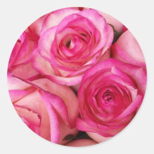Sticker Rond Roses du feu et de glace