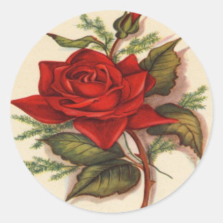 Sticker Rond Roses rouges