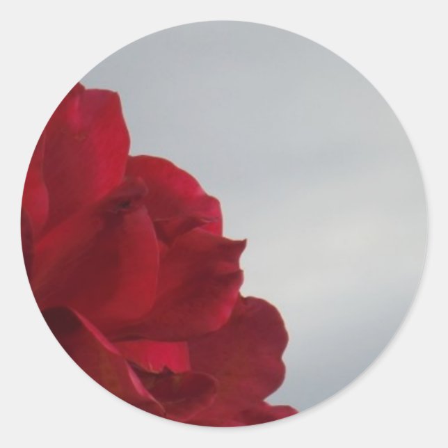 Sticker Rond Roses rouges contre un ciel bleu vif (Devant)