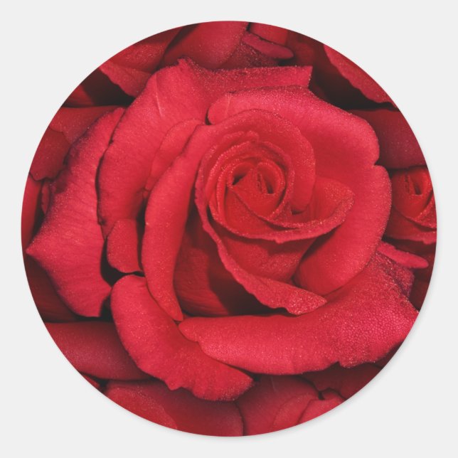 Sticker Rond Roses rouges - élégant et élégant (Devant)
