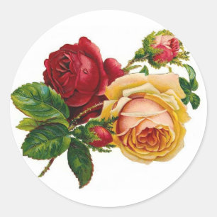 Sticker Rond Roses rouges et jaunes