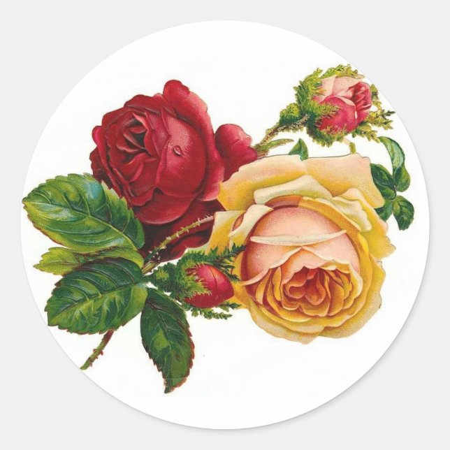 Sticker Rond Roses rouges et jaunes (Devant)
