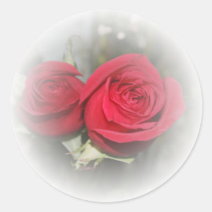 Sticker Rond Roses rousses romantiques