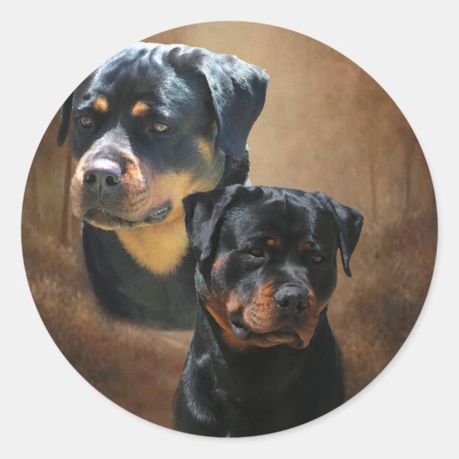 Sticker Rond Rottweiler (Devant)
