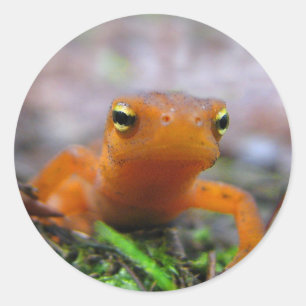 Sticker Rond Rouge Eft