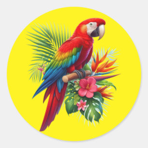 Sticker Rond Rouge macaw tropical floral