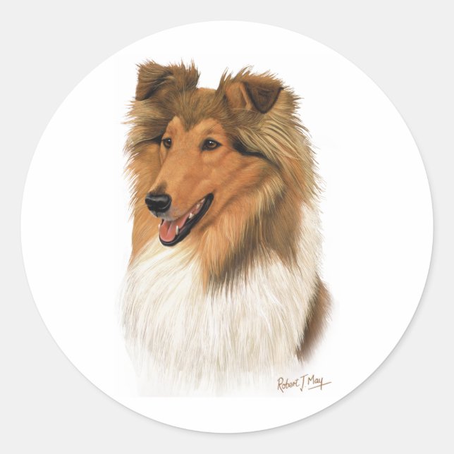 Sticker Rond Rough Collie (Devant)