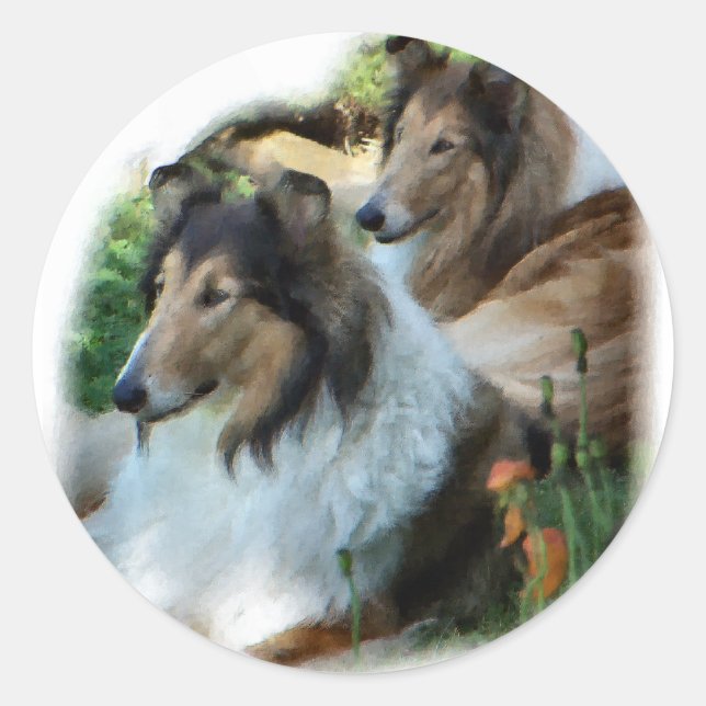 Sticker Rond Rough Collie Art Don (Devant)