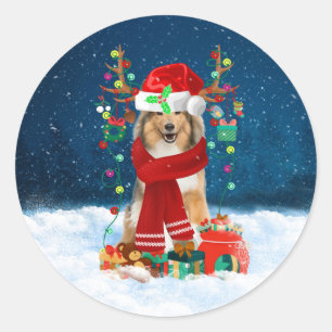 Sticker Rond Rough Collie Chien en neige avec cadeaux de Noël