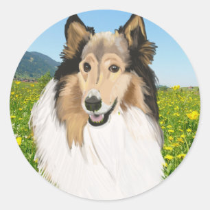 Sticker Rond Rough Collie, Long Haired Collie Portrait