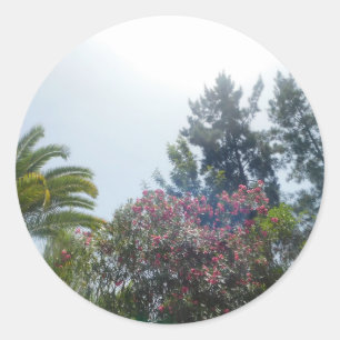 STICKER ROND ROULEAU D'AUTOCOLLANTS