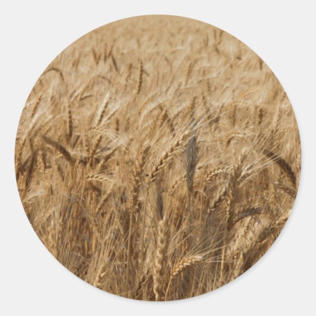 Sticker Rond Route 66 (Devant)