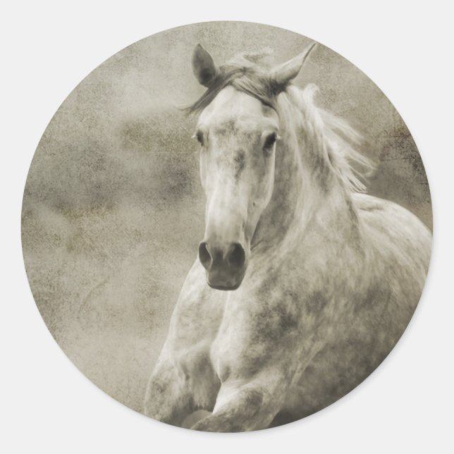 Sticker Rond Rustique Galloping Cheval andalou (Devant)