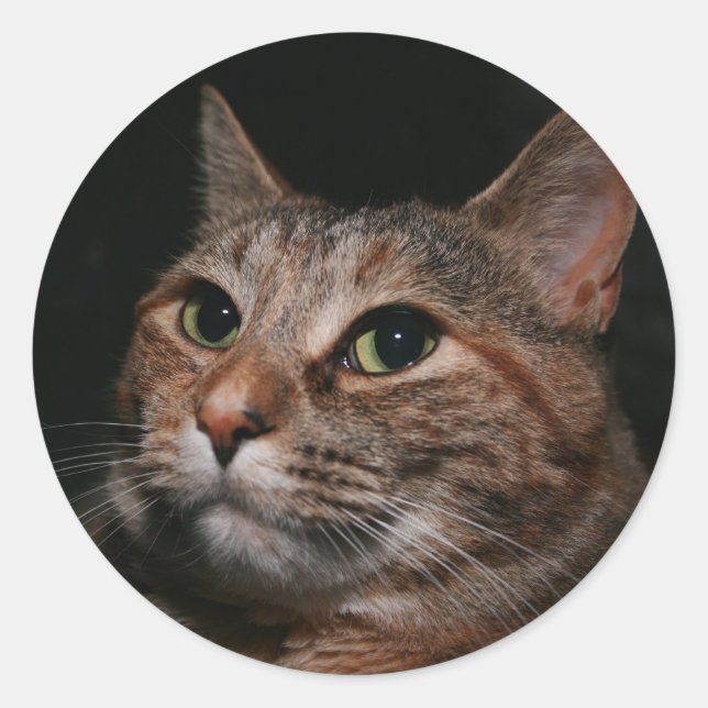 Sticker Rond Rusty (Devant)