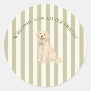 Sticker Rond Sage Vert Baby Shower Golden Retriever