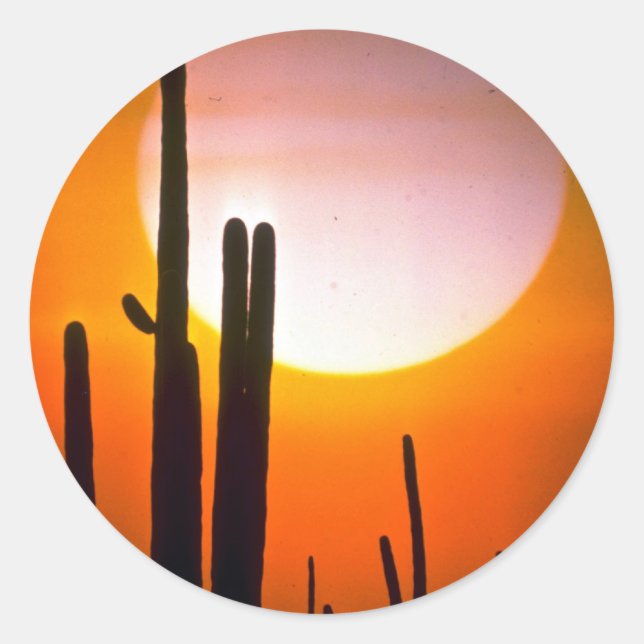 Sticker Rond Saguaro cactus, désert de Sonoran, désert des État (Devant)