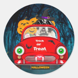 Sticker Rond Saint Bernard Chien voiture voiture effrayant Hall