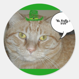Sticker Rond Saint Patrick's Day Orange Tabby Cat