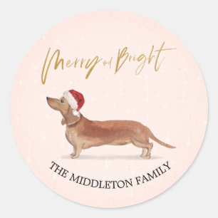 Sticker Rond Santa Hat Chien Tan Dachshund Joyeux Noël