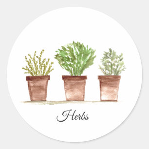 Sticker Rond Sauge d'herbes, romarin, végétation de thym Plante