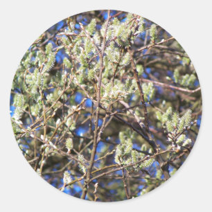 STICKER ROND SAULE DE PRINTEMPS