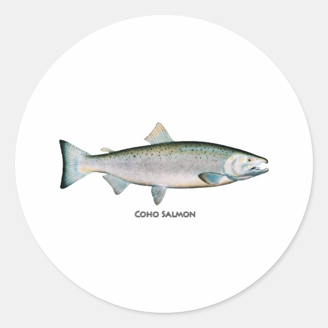 Sticker Rond Saumon argenté (phase océanique) (Devant)