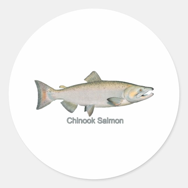 Sticker Rond Saumon Chinook (intitulé) (Devant)