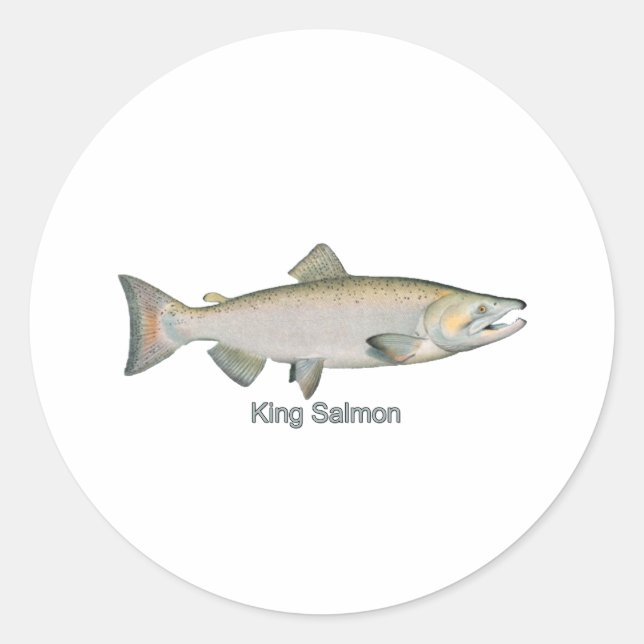 Sticker Rond Saumon du roi (titre) (Devant)