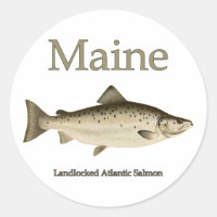 Saumon sans accès au Maine