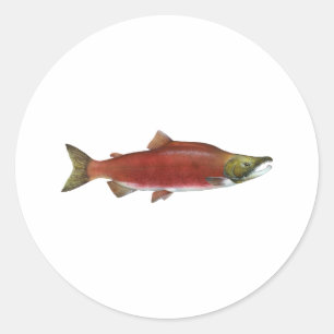Sticker Rond Saumon Sockeye
