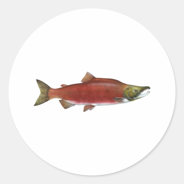 Sticker Rond Saumon Sockeye (Devant)