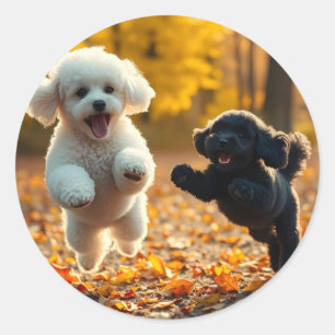 Sticker Rond Saupoudrer les chiots de caniche