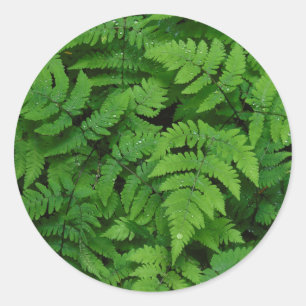 Sticker Rond Saute loin des rain drops
