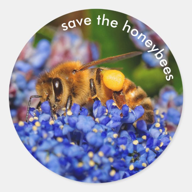 Sticker Rond Sauvez les abeilles à miel Pollinating California  (Devant)